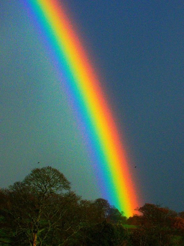 🌈 Over the Rainbow Hexi-Cardigan
